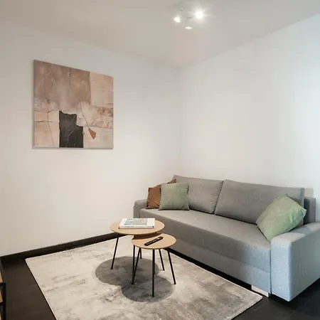 Spacious Near Karlin Square Prague