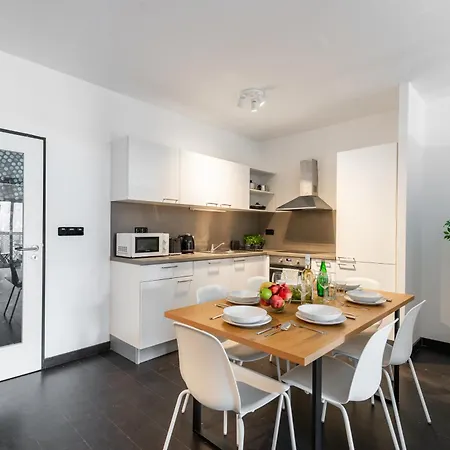 Spacious Near Karlin Square Prague